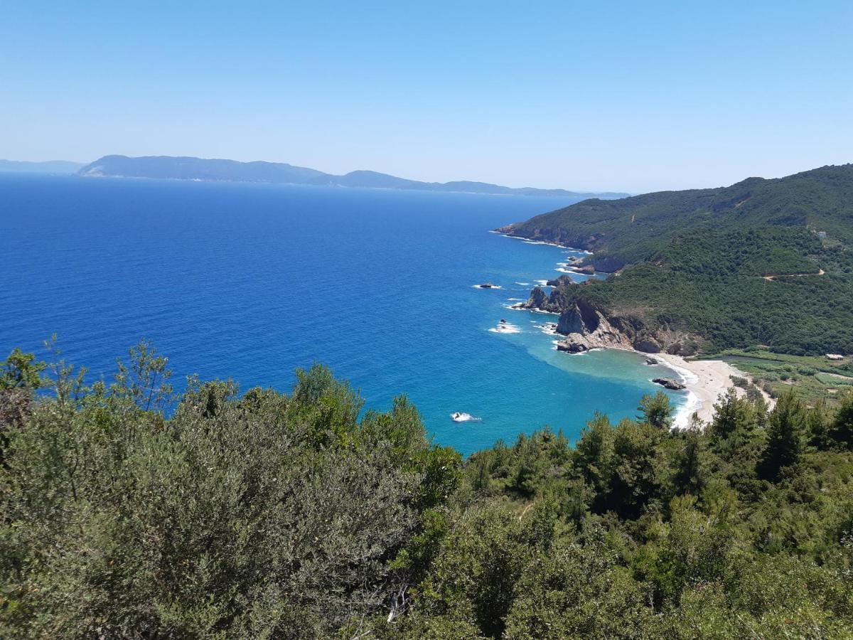 Kouros Villa! Paltsi Pilion Exterior foto